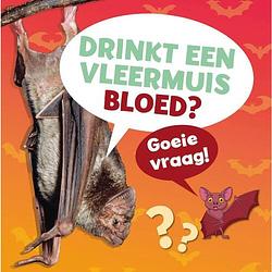 Foto van Drinkt een vleermuis bloed?