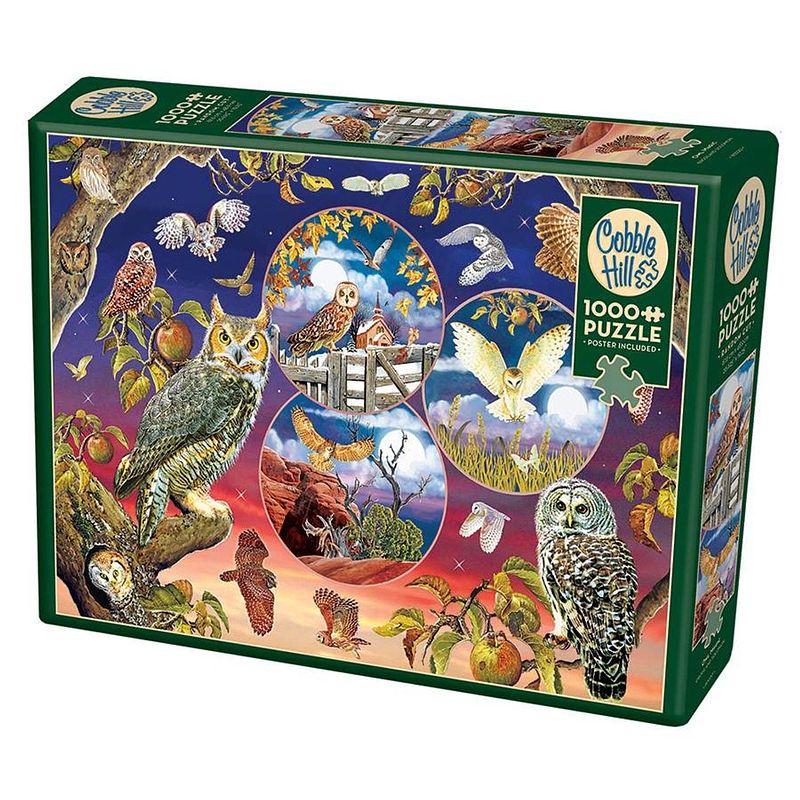 Foto van Cobble hill legpuzzel owl magic 1000 stukjes