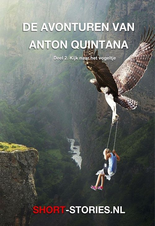 Foto van Kijk naar het vogeltje - anton quintana - ebook