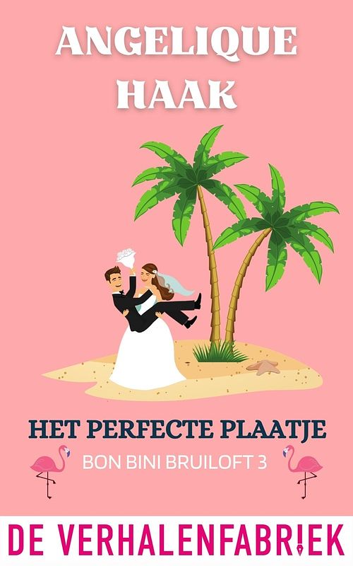 Foto van Het perfecte plaatje - angelique haak - ebook