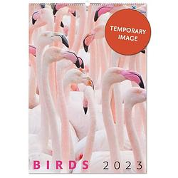 Foto van Vogelbescherming birds posterkalender 2023