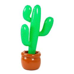 Foto van Opblaasbare cactus - 92 cm