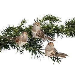 Foto van House of seasons kerst mussen - 3x -decoratie vogels op clip - 4,5 cm - kersthangers