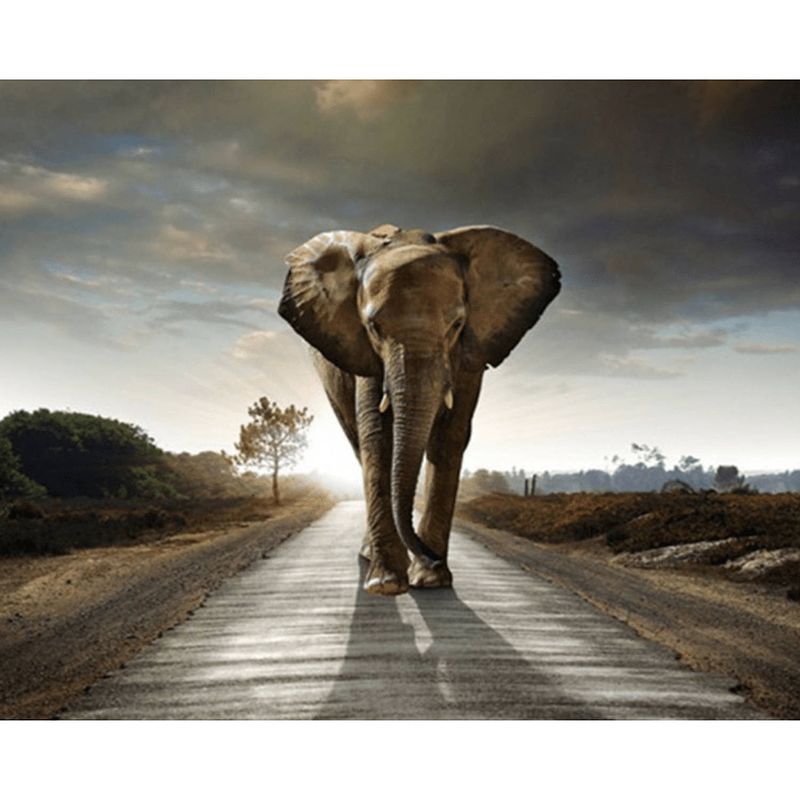 Foto van Diamond painting pakket safari olifant - volledig - full - 30x25 cm - seos shop ®