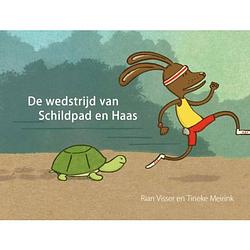 Foto van De wedstrijd van schildpad en haas