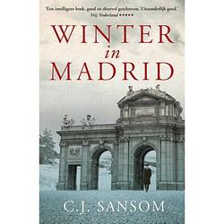 Foto van Winter in madrid