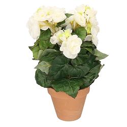 Foto van Kunstplanten begonia in pot wit 30 cm - kunstplanten