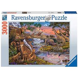 Foto van Ravensburger puzzel dierenrijk 3000pcs