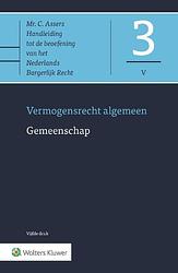 Foto van Asser 3-v gemeenschap - hardcover (9789013173291)