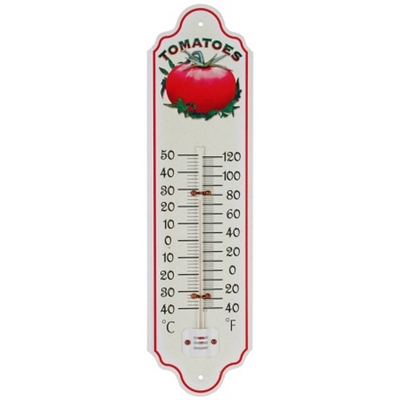 Foto van Talen tools - thermometer - metaal - tomaat - 28 cm