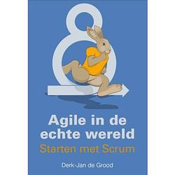 Foto van Agile in de echte wereld