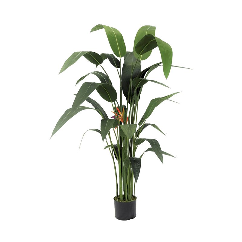 Foto van Strelitzia kunstplant met bloem 160cm