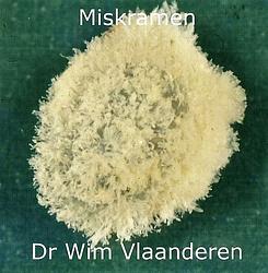 Foto van Miskramen - dr. wim vlaanderen - ebook