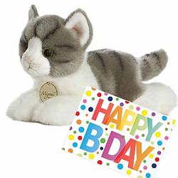 Foto van Pluche knuffel kat/poes grijs/witte 20 cm met a5-size happy birthday wenskaart - knuffel huisdieren