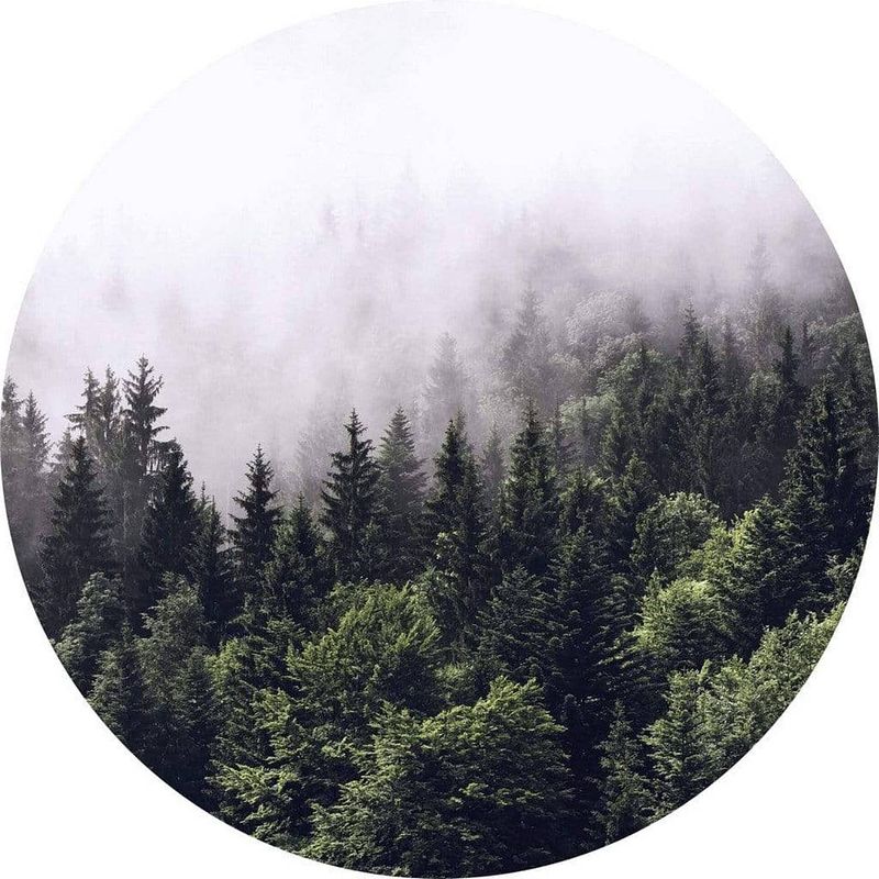 Foto van Wizard+genius foggy forest vlies fotobehang 140x140cm rond