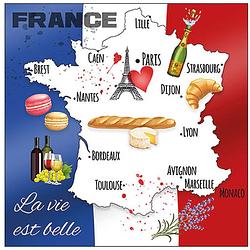 Foto van 40x tafel diner/lunch servetten 33 x 33 cm frankrijk landen vlag thema print - feestservetten