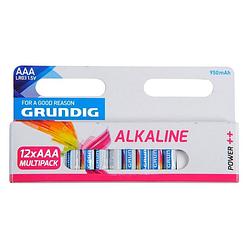 Foto van Grundig batterijen alkaline lr3 aaa 950 mah 12 stuks