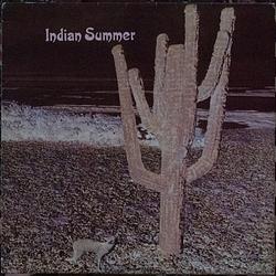 Foto van Indian summer - lp (8034003291976)