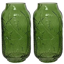 Foto van Set van 2x stuks groene vazen/bloemenvazen bladerenmotief 3 liter van glas 12 x 23 cm - vazen