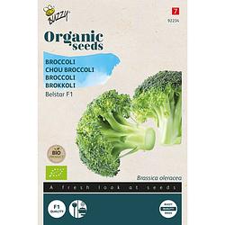 Foto van Buzzy - organic broccoli belstar f1 (bio)