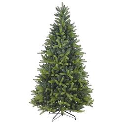 Foto van Frasier kunstkerstboom - 150 cm - groen - ø 99 cm - 863 tips - metalen voet