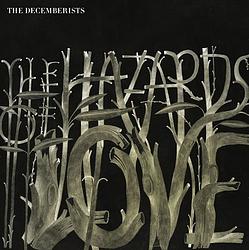 Foto van The hazards of love - cd (0883870055628)