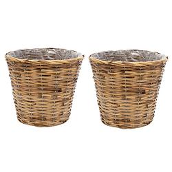 Foto van Mega collections planten/bloemen mand - 2x - rotan - lichtbruin - d19 x h16 cm - plantenpotten