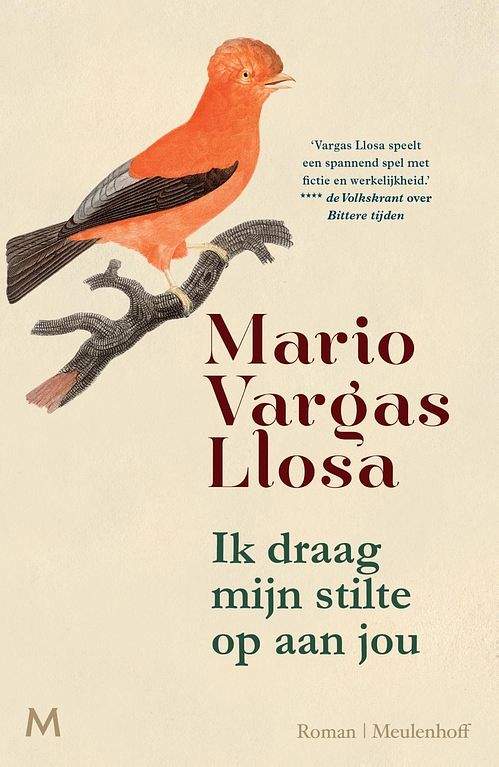 Foto van Ik draag mijn stilte op aan jou - mario vargas llosa - ebook