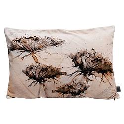 Foto van Ptmd nisha cream cotton velvet cushion dried flowers l