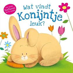 Foto van Wat vindt konijntje leuk? - hardcover (9789036639828)