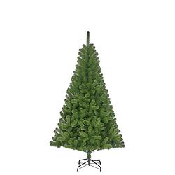 Foto van Black box charlton kerstboom groen - h185xd115cm