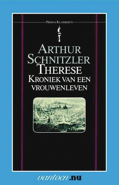 Foto van Therese, kroniek van een vrouwenleven - arthur schnitzler - ebook (9789000331406)