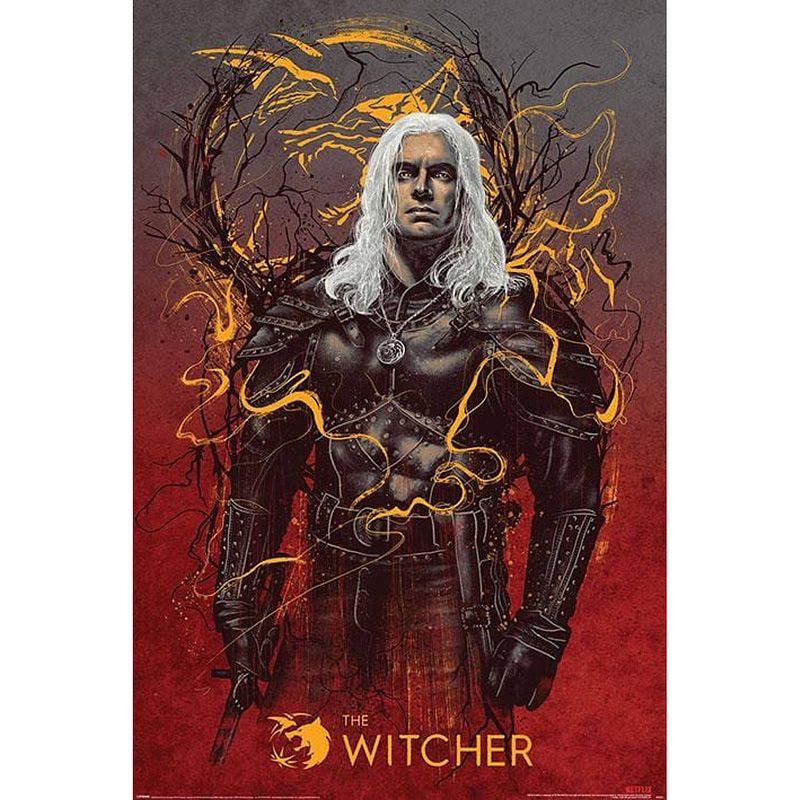 Foto van Pyramid the witcher geralt the wolf poster 61x91,5cm