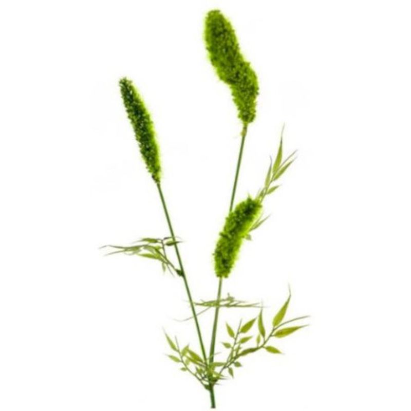 Foto van Gifts amsterdam kunstplant cattail spray 62 cm zijde groen