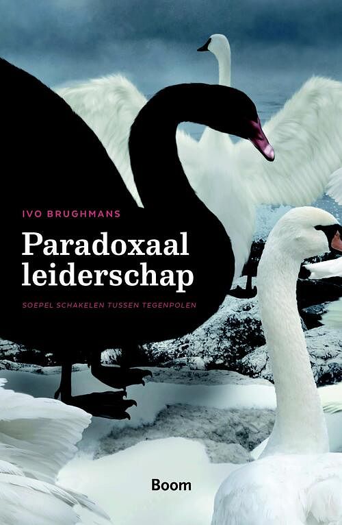 Foto van Paradoxaal leiderschap - ivo brughmans - ebook (9789461279958)