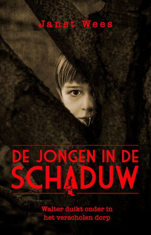 Foto van De jongen in de schaduw - janet wees - ebook (9789026622670)