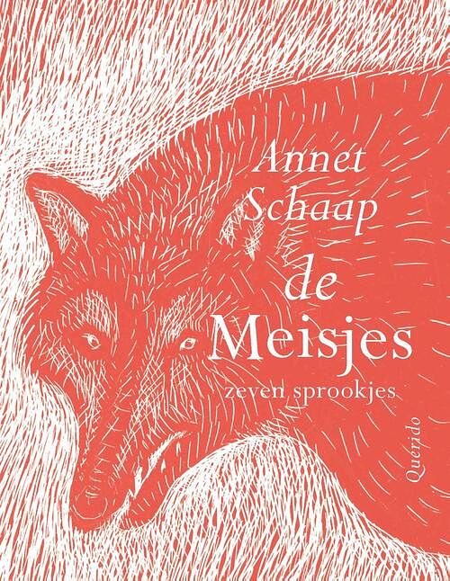 Foto van De meisjes - annet schaap - ebook (9789045127545)