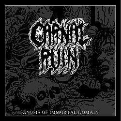 Foto van Gnosis of immortal domain - cd (5902693142416)