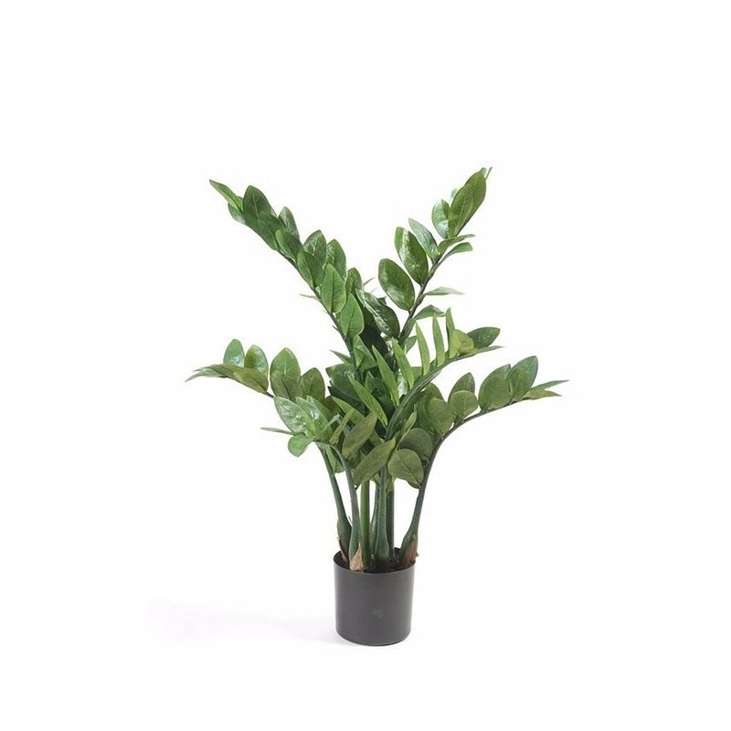 Foto van Kunstplant zamioculcas/kamerpalm 70 cm - kunstplanten