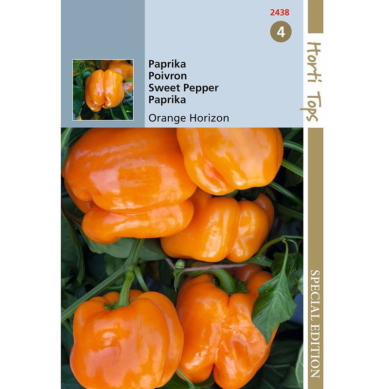 Foto van 5 stuks hts paprika orange horizon