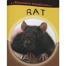 Foto van Rat - bijzondere huisdieren