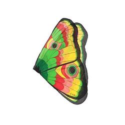 Foto van Vlinder vleugels gekleurd voor kids - verkleedattributen