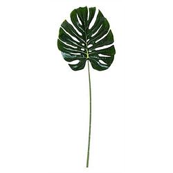 Foto van Non-branded kunstplant monstera 80 x 29 cm polyetheen groen