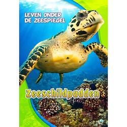 Foto van Zeeschildpadden - leven onder de zeespiegel