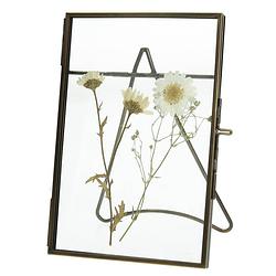 Foto van Lijst gedroogde bloem messing brons 10x2x15cm