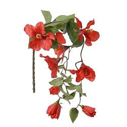 Foto van Louis maes kunstbloemen - hibiscus - rood - hangende tak vana 165 cm - hawaii/zomer thema - kunstbloemen