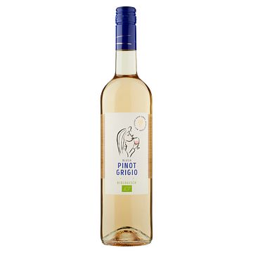 Foto van Jumbo pinot grigio rose biologisch 750ml