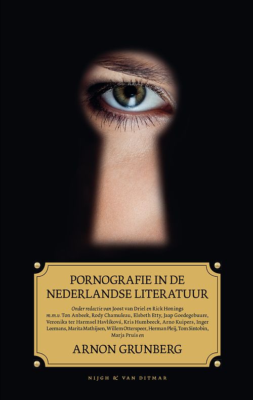 Foto van Pornografie in de nederlandse literatuur - ebook (9789038895314)