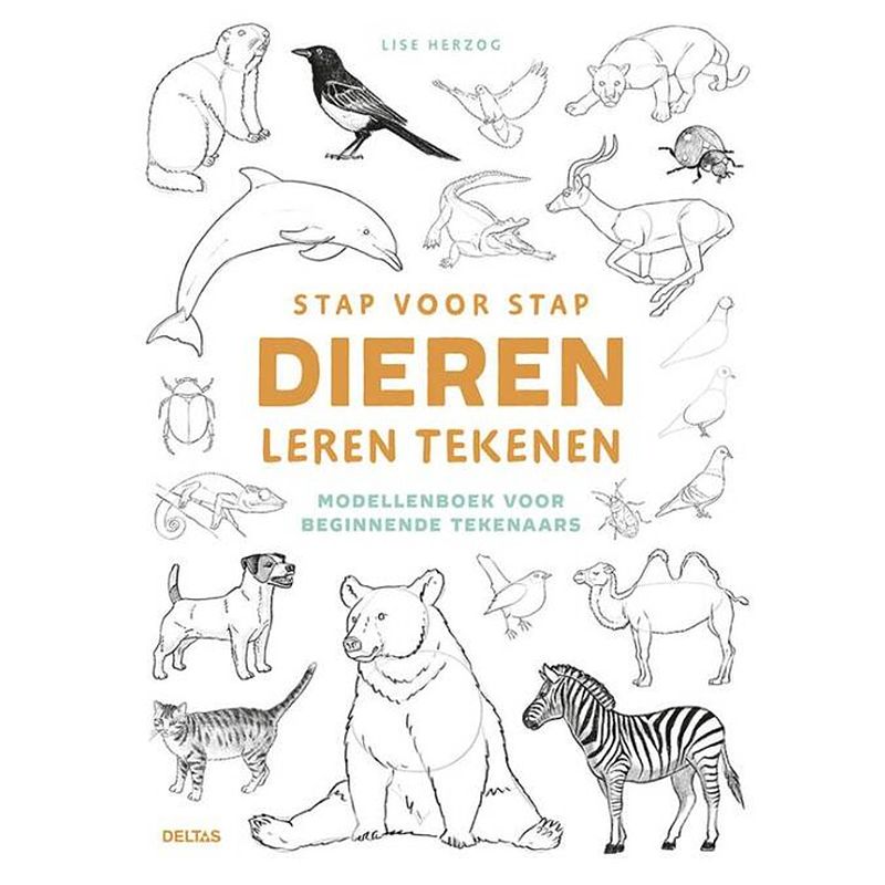 Foto van Stap voor stap dieren leren tekenen