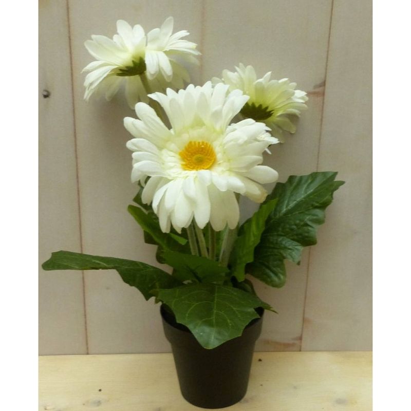 Foto van Warentuin mix - kunstgerbera wit in pot 25 cm